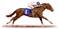 :racinghorse: